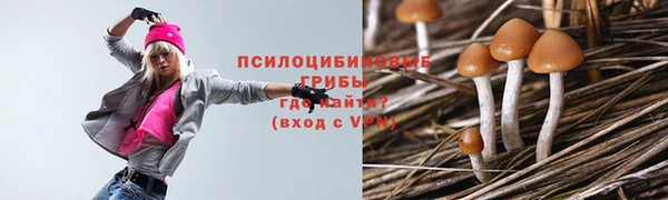 соль ск Балабаново