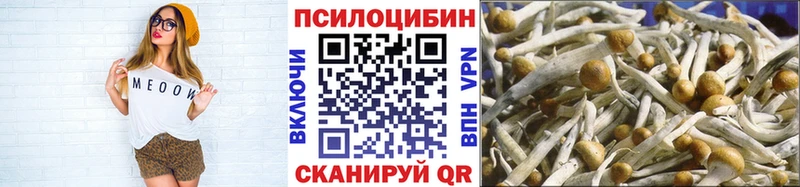 Галлюциногенные грибы Psilocybe  Купить закладки  Орлов 