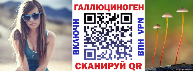 Галлюциногенные грибы Psilocybe Орлов